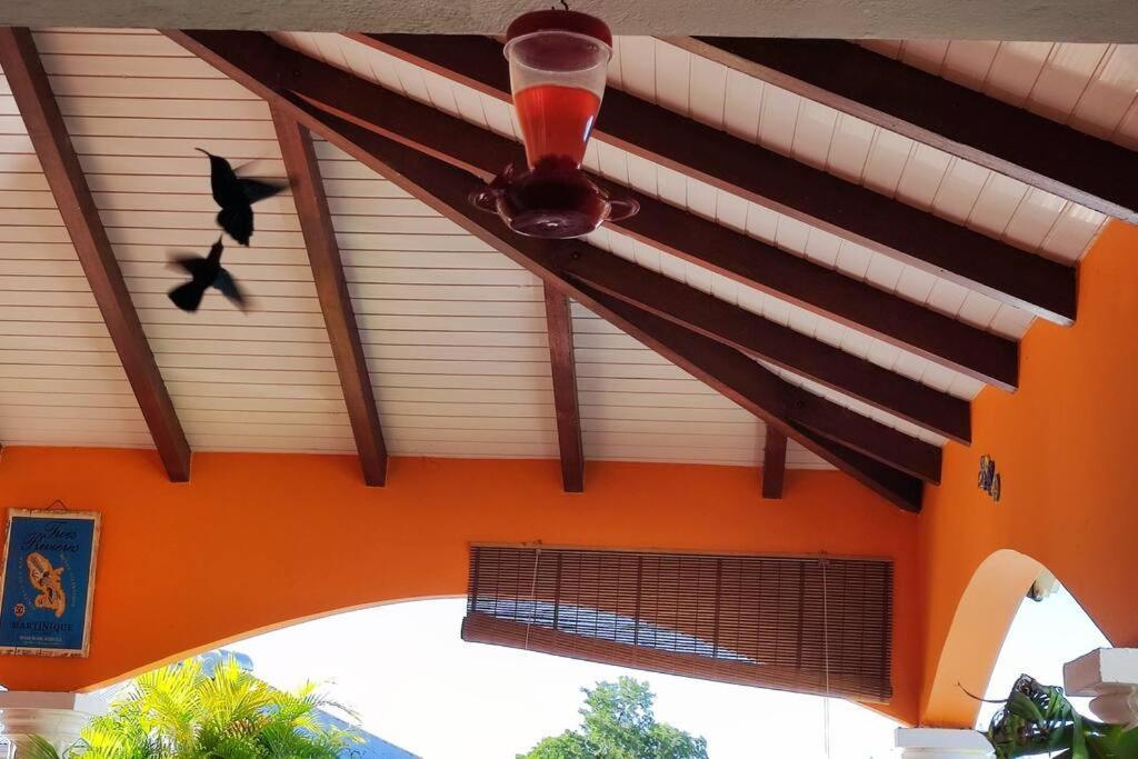 Villa Anolis, Sainte Luce, Piscine, Vue Mer, 4* Exterior foto